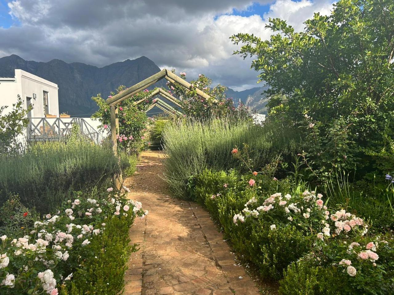Camberley Wines - Luxury * Stellenbosch