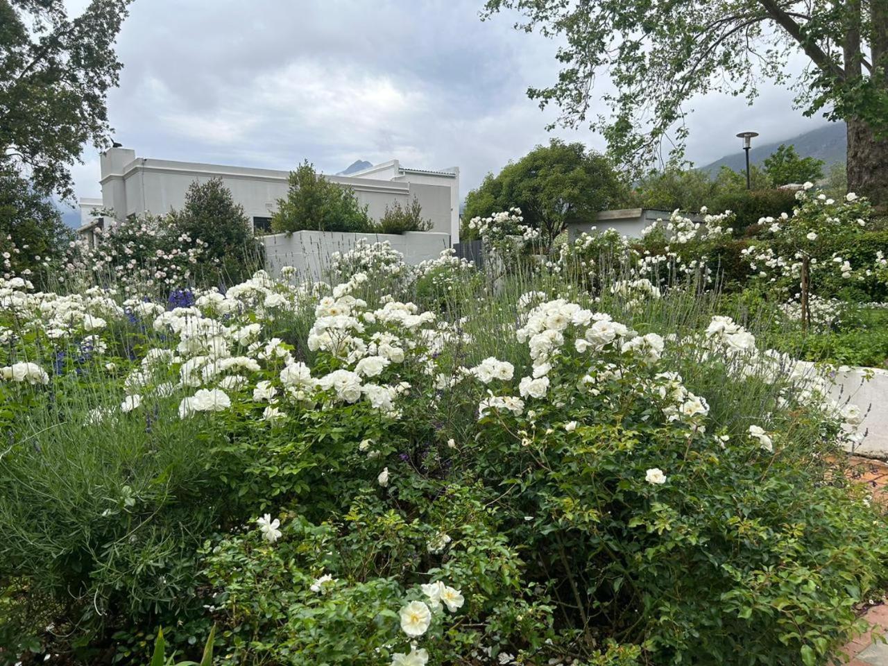 Camberley Wines - Luxury Apartment Stellenbosch