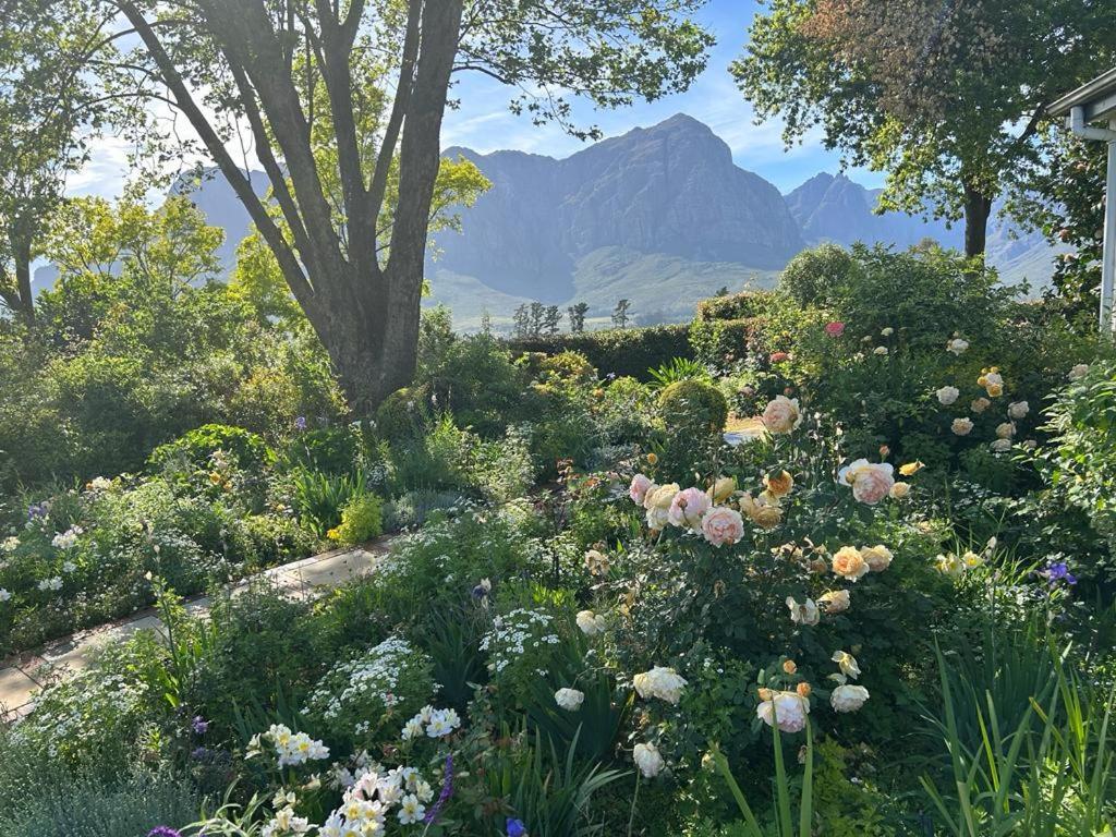 Camberley Wines - Luxury Stellenbosch