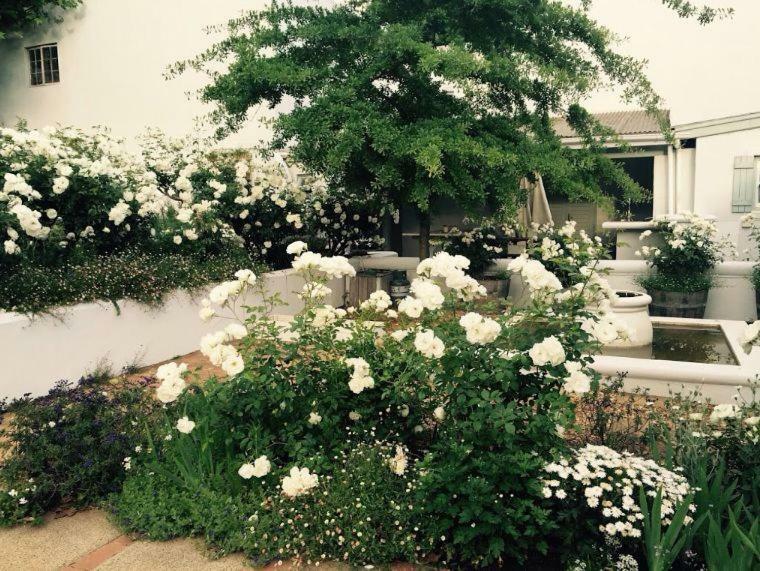 Camberley Wines - Luxury * Stellenbosch